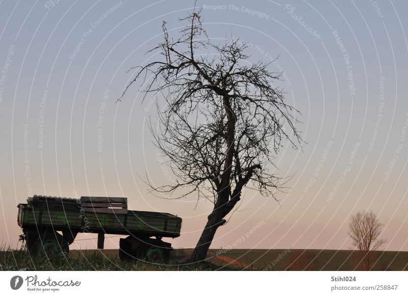 Wagen Baum Winter Himmel Landwirtschaft Forstwirtschaft Feierabend Horizont Feld ästhetisch blau rosa schwarz Stimmung Gelassenheit ruhig Erholung Anhänger