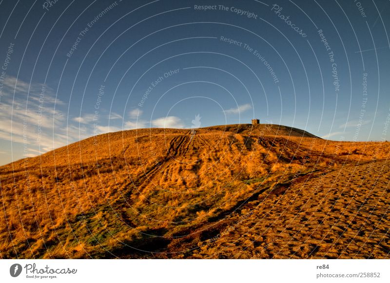 Blick in die Ferne Umwelt Natur Landschaft Pflanze Tier Urelemente Erde Sand Himmel Wolken Sonne Sonnenlicht Herbst Klima Gras Sträucher Wiese Hügel Felsen