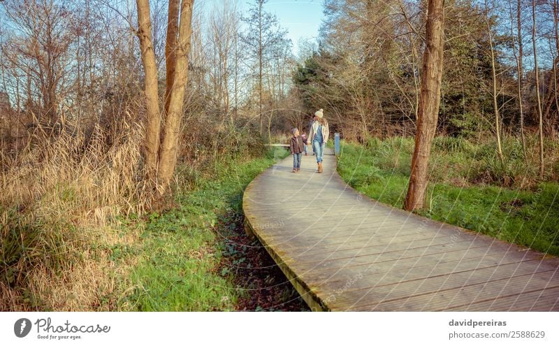 Glückliche Familie, die gemeinsam über einen Holzweg geht. Lifestyle Freude Freizeit & Hobby Winter Kind Junge Frau Erwachsene Mann Eltern Mutter Vater