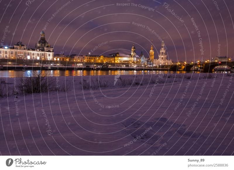 Dresden Stadt Hauptstadt Hafenstadt Stadtzentrum Altstadt Skyline bevölkert Kirche Dom Palast Brücke Turm Bauwerk Gebäude Architektur Mauer Wand Fassade