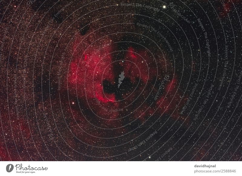 Nordamerika- und Pelikannebel Technik & Technologie Wissenschaften Fortschritt Zukunft High-Tech Raumfahrt Astronomie Nebel Nordamerikanebel Umwelt Natur Himmel