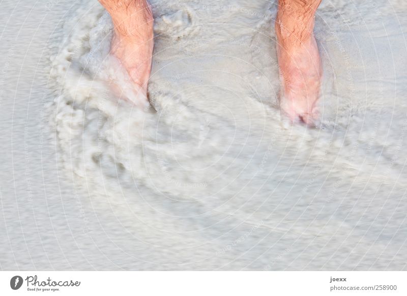 Wasserstand Ferien & Urlaub & Reisen Sommerurlaub Strand maskulin Fuß 1 Mensch stehen nass braun grau Sandstrand Strömung fließen Ebbe Farbfoto Gedeckte Farben