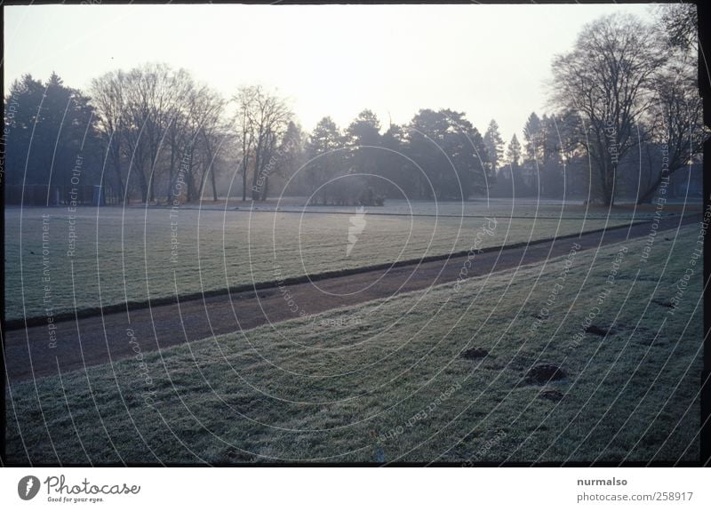 Weg, gerade Freizeit & Hobby Garten Joggen wandern Kunst Natur Landschaft Herbst Baum Park Wiese Stadt Sehenswürdigkeit Wege & Pfade Zeichen entdecken Erholung