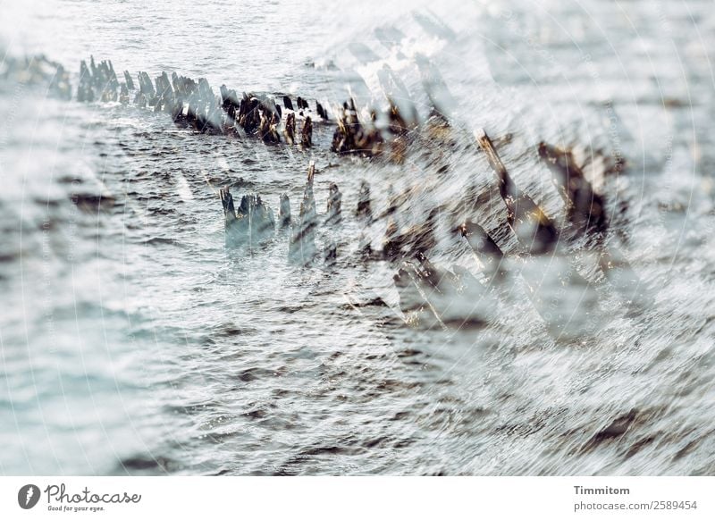 An der Ostsee Ferien & Urlaub & Reisen Umwelt Natur Urelemente Wasser Buhne blau braun grau Gefühle Wellen Doppelbelichtung Farbfoto Gedeckte Farben