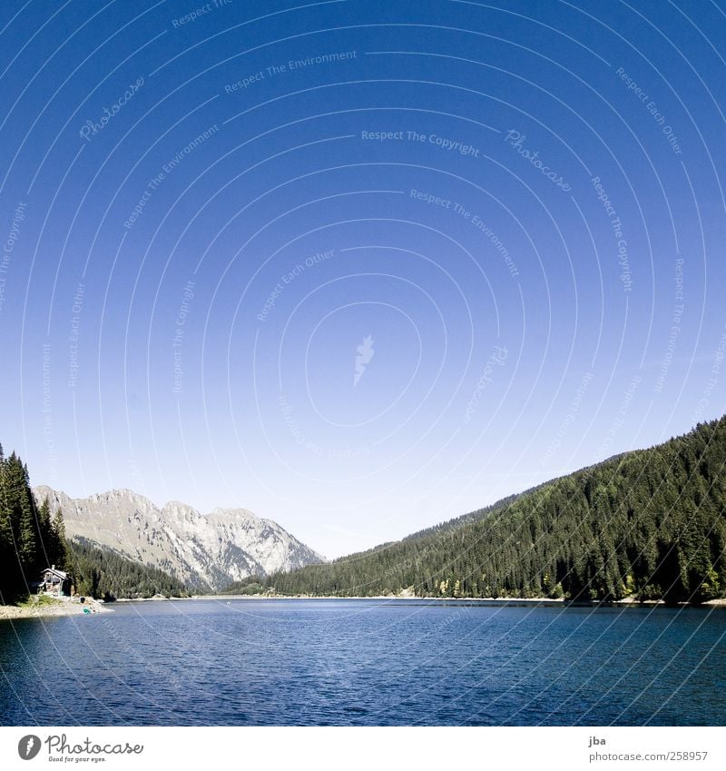 Arnensee Zufriedenheit Erholung ruhig Ausflug Sommer Berge u. Gebirge wandern Haus Natur Luft Wasser Himmel Wolkenloser Himmel Herbst Tanne Wald Felsen Alpen