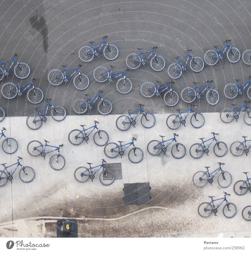 Liegeräder Tourismus Kreuzfahrt Fahrrad Hafenstadt Schifffahrt Kreuzfahrtschiff Fähre Jachthafen Blick Farbfoto mehrfarbig Außenaufnahme Menschenleer Tag