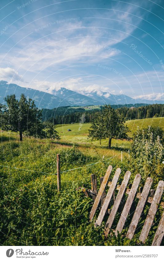 berge wiesen wälder Umwelt Landschaft Schönes Wetter Alpen Berge u. Gebirge Gipfel Schneebedeckte Gipfel schön Zaun Streuobstwiese Alpenwiese Baum Feld