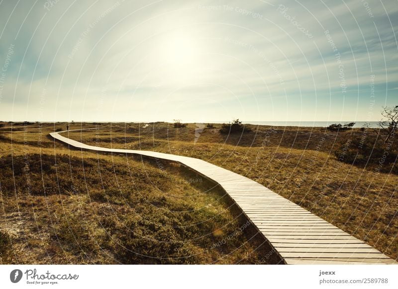 Neuanfang Landschaft Himmel Sonne Schönes Wetter Wiese Wege & Pfade gehen Wärme blau braun grün Zufriedenheit Vorfreude ruhig Hoffnung Heimweh Fernweh Bohlenweg