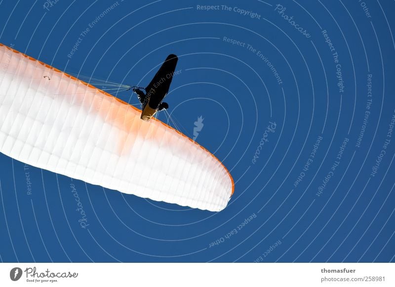 Ikarus 3 Ferien & Urlaub & Reisen Abenteuer Freiheit Sommer Gleitschirmfliegen Mensch 1 Wolkenloser Himmel Schönes Wetter Fluggerät frei blau weiß Freude