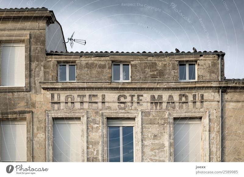 Hotel-Empfang Himmel Haus Mauer Wand Tierpaar alt historisch blau braun Idylle Zusammenhalt Taube Farbfoto Gedeckte Farben Menschenleer Tag