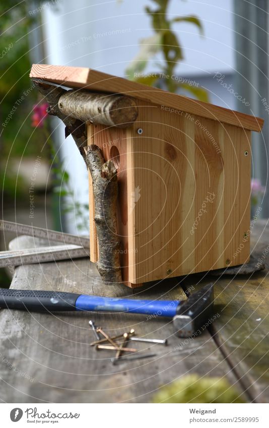 Nistkastenbau Kindergarten Vogel bauen nachhaltig Hammer Umweltschutz Brutkasten schrauben Vogelschutz Brüten Farbfoto Außenaufnahme Schwache Tiefenschärfe