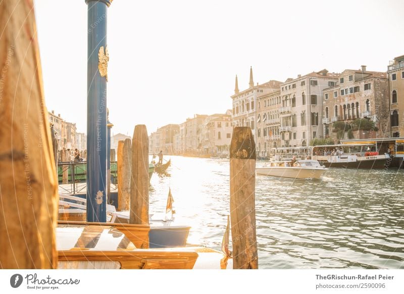 Venedig Kleinstadt Stadt Hafenstadt Sehenswürdigkeit Wahrzeichen gelb gold grün schwarz weiß Italien Licht Gegenlicht Sonnenuntergang Stimmung Canal Grande Haus