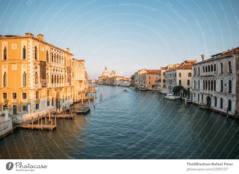 Venedig Stadt Hafenstadt Sehenswürdigkeit blau gelb gold schwarz Canal Grande Italien Dom Bauwerk Sonnenlicht Holzpfahl Steg Wasser Wasserfahrzeug Haus Altertum