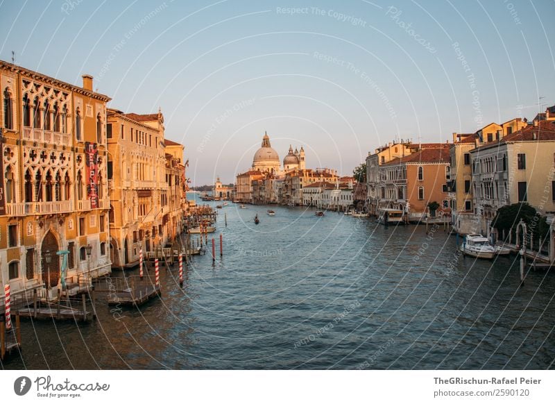 Venedig Stadt Hafenstadt Stadtzentrum blau braun gelb gold weiß Dom Italien Canal Grande Haus Stimmung Holzpfahl Steg Wasserfahrzeug Kanal Farbfoto