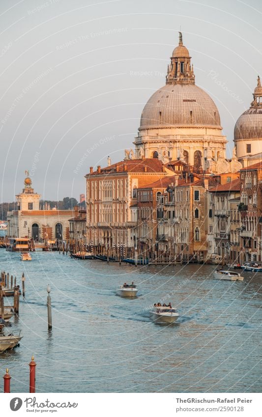 Dom Kleinstadt Stadt Hafenstadt Stadtzentrum blau braun gelb gold Venedig Italien Canal Grande Wasserfahrzeug Schifffahrt beeindruckend Haus Holzpfahl Farbfoto