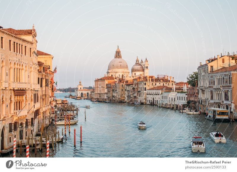 Canal Grande Stadt Hafenstadt Stadtzentrum blau braun gelb gold Dom Venedig Italien Wasser Kanal Wasserfahrzeug Bootsfahrt Holzpfahl Farbfoto Außenaufnahme