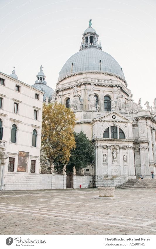 Dom Kleinstadt Stadt Hafenstadt Platz grau weiß Baum Venedig Italien Sehenswürdigkeit Haus Kuppeldach Ornament Religion & Glaube Farbfoto Außenaufnahme