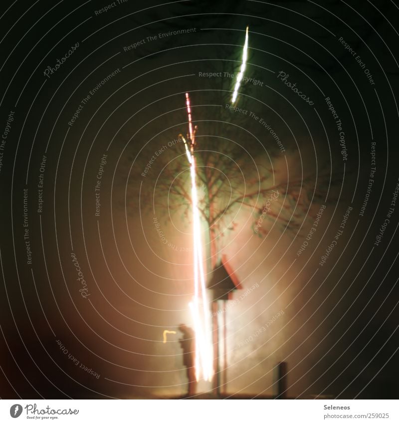 Nachzügler Nachtleben Feste & Feiern Silvester u. Neujahr 1 Mensch Winter Pflanze Baum Einsamkeit Rakete Verkehrsschild Straße dunkel Farbfoto Außenaufnahme