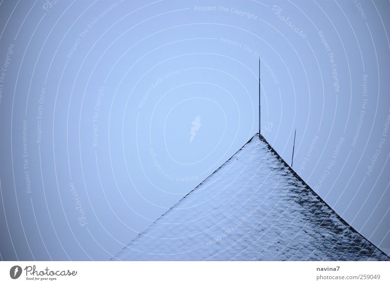 Dachspitzel Himmel Winter Nebel Schnee Antenne Spitze trist grau weiß kalt Gedeckte Farben Außenaufnahme Menschenleer Textfreiraum links Tag Silhouette