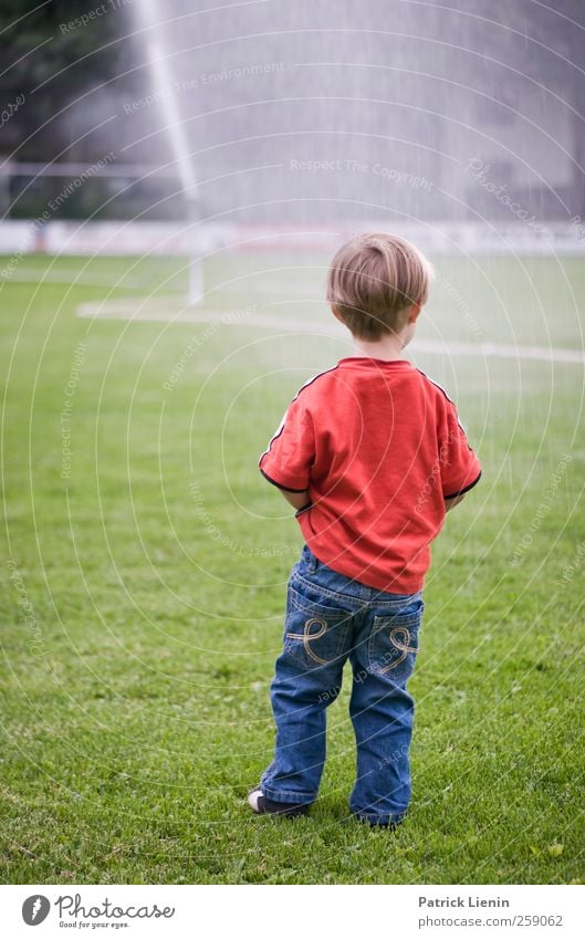 waiting Mensch maskulin Kind Kleinkind Körper 1 3-8 Jahre Kindheit warten Wassertropfen Spielen Angst rot Bekleidung Junge Vorsicht Urelemente Wiese Rasen