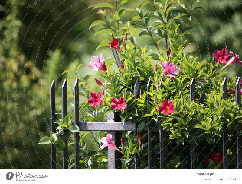 Garten. Kunst ästhetisch Gartenbau Gartenzaun Gartenfest grün Grünpflanze Blüte Blühend Sommer Natur Farbfoto Gedeckte Farben Außenaufnahme Nahaufnahme