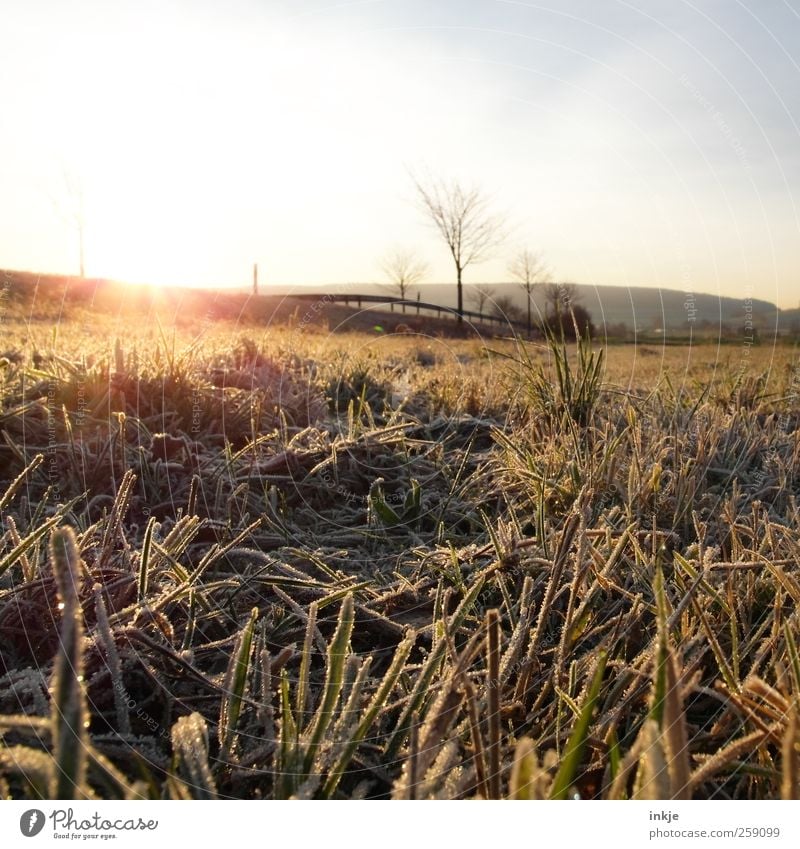 früher Frost Umwelt Landschaft Himmel Sonne Sonnenaufgang Sonnenuntergang Sonnenlicht Winter Eis Baum Gras Wiese Feld Stadtrand Menschenleer Straße Wege & Pfade