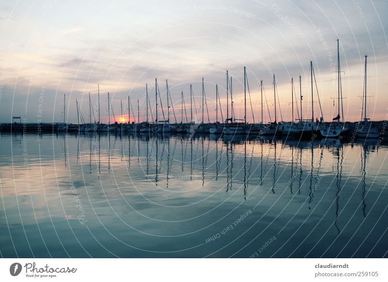 Amplitude Hafenstadt Schifffahrt Segelboot Wasserfahrzeug Jachthafen ästhetisch schön Abenddämmerung Mast Symmetrie Meer Insel Poel Deutschland