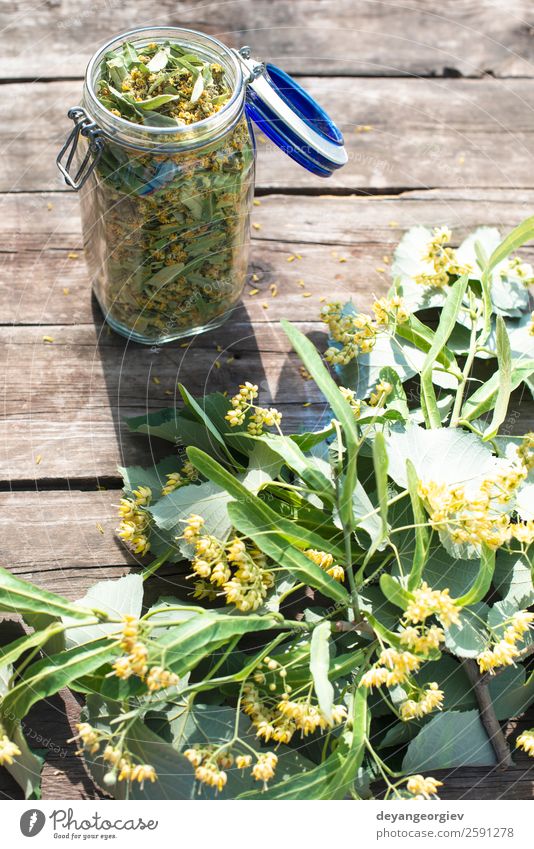 Glas mit Lindenblüte auf Holztisch Kräuter & Gewürze Tee Sommer Natur Pflanze Baum Blume Blatt Blüte frisch natürlich grün Kalk Ast Kräuterbuch geblümt