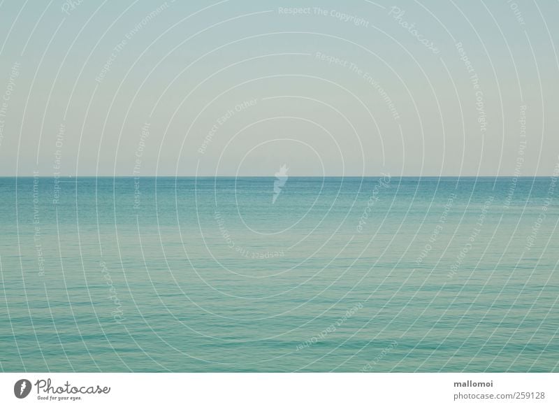 Panoramablick über sehr stilles Meer See Unendlichkeit Urelemente stilles Wasser Umwelt Natur Luft Himmel Wolkenloser Himmel Klima Wetter Wellen Küste