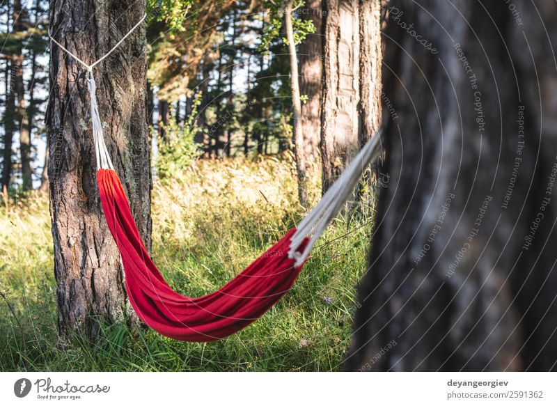 Hängematte im Wald Lifestyle schön Erholung Freizeit & Hobby Ferien & Urlaub & Reisen Camping Sommer Sonne Natur Landschaft Baum Park grün rot Farbe Idylle