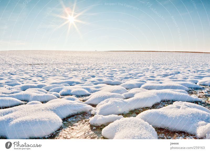 Kaltstart Landschaft Himmel Wolkenloser Himmel Sonne Winter Schönes Wetter Schnee Feld kalt blau gelb weiß ruhig Freiheit Horizont Natur Schneelandschaft