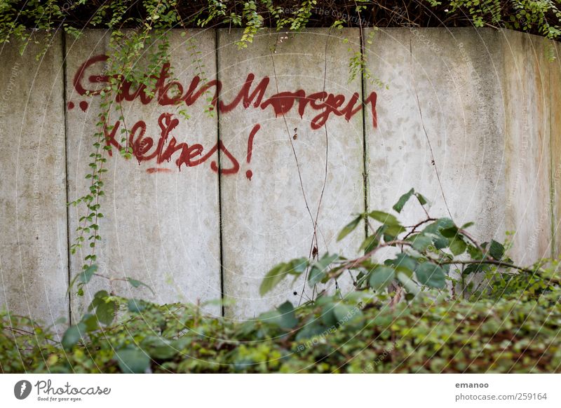 Guten Morgen Kleines! Lifestyle Stil Freude Pflanze Sträucher Mauer Wand Stein einfach schön grün rot Sympathie Zusammensein Liebe Verliebtheit Graffiti