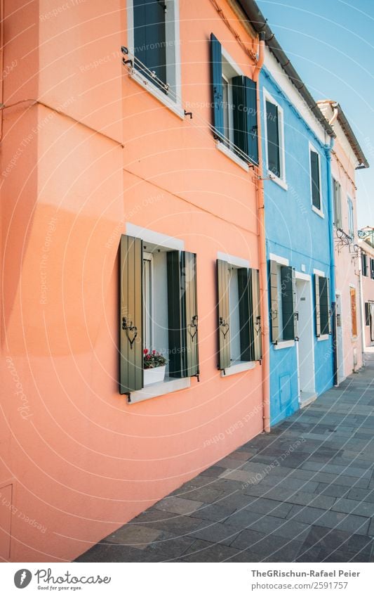 Burano Dorf Kleinstadt blau violett rosa Italien Haus mehrfarbig Fenster Fensterladen Pflastersteine Tourismus Farbfoto Detailaufnahme Menschenleer