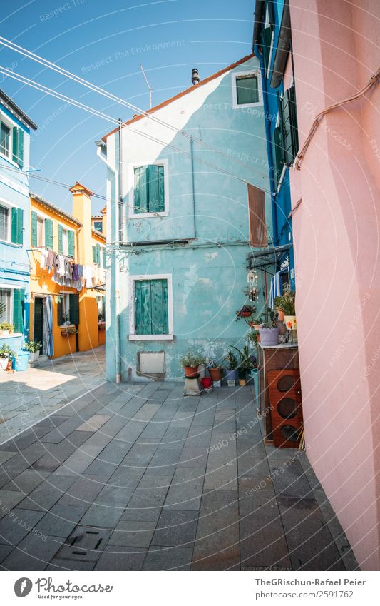 Burano Dorf Kleinstadt blau mehrfarbig rosa türkis Italien Pflastersteine Häusliches Leben Pflanze gelb Reisefotografie Farbfoto Menschenleer Textfreiraum unten