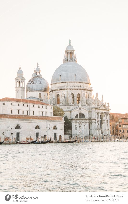 Dom Kleinstadt Stadt Hafenstadt grau schwarz silber weiß Venedig Wasser Stimmung Sonnenuntergang Gegenlicht Italien Farbfoto Außenaufnahme Menschenleer