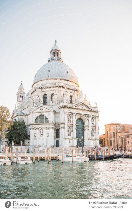 Dom Kleinstadt Stadt Hafenstadt grau silber weiß Kuppeldach Statue Wasser Detailaufnahme Kunst Sonnenuntergang Venedig Italien Wasserfahrzeug Schifffahrt