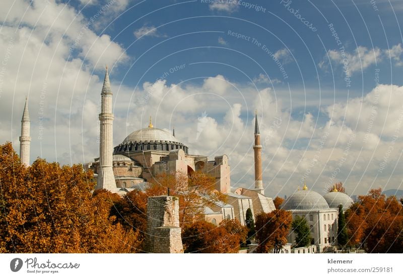 Istanbuls magische Hagia Sofia Lifestyle Ferien & Urlaub & Reisen Tourismus Abenteuer Sightseeing Natur Luft Wolkenloser Himmel Baum Park Hagia Sophia Türkei