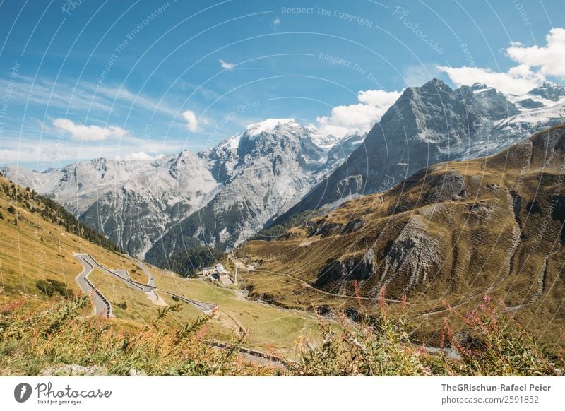 Stelvio Natur Landschaft blau braun gelb grün schwarz weiß Berge u. Gebirge Pass Straße Kurve Herbst Italien Aussicht Panorama (Bildformat) Wolken stelvio