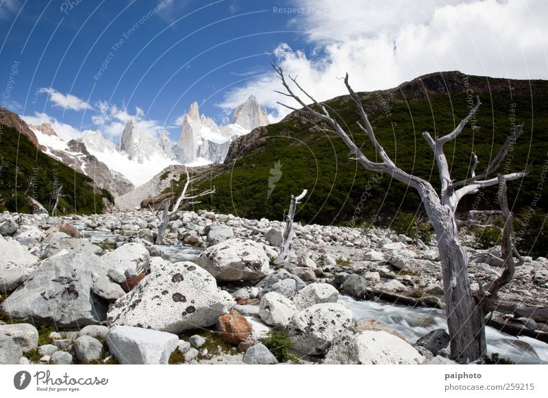 Baum, Bach und Berge Ferien & Urlaub & Reisen Tourismus Abenteuer Ferne Expedition Sommer Schnee Berge u. Gebirge wandern Klettern Bergsteigen Umwelt Natur