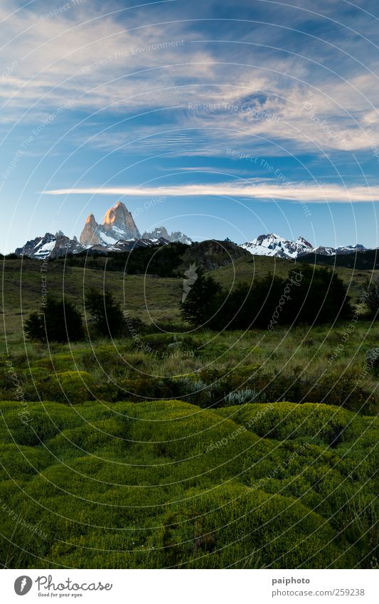 Fitz Roy Berglandschaft Abenteuer Alpen Klima Klettern Wolken Farbe Farbfoto Starke Tiefenschärfe Ferne Umwelt Expedition Außenaufnahme Pflanze Morgen