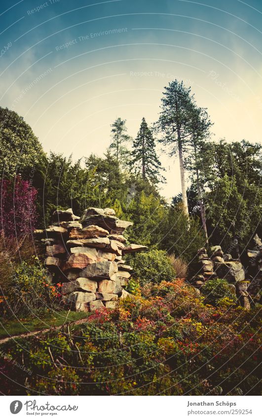 *** 200 *** Umwelt Natur Landschaft Himmel Wolkenloser Himmel Sommer Herbst Klima Pflanze Baum Sträucher Grünpflanze Park Wald Hügel Felsen blau mehrfarbig grün