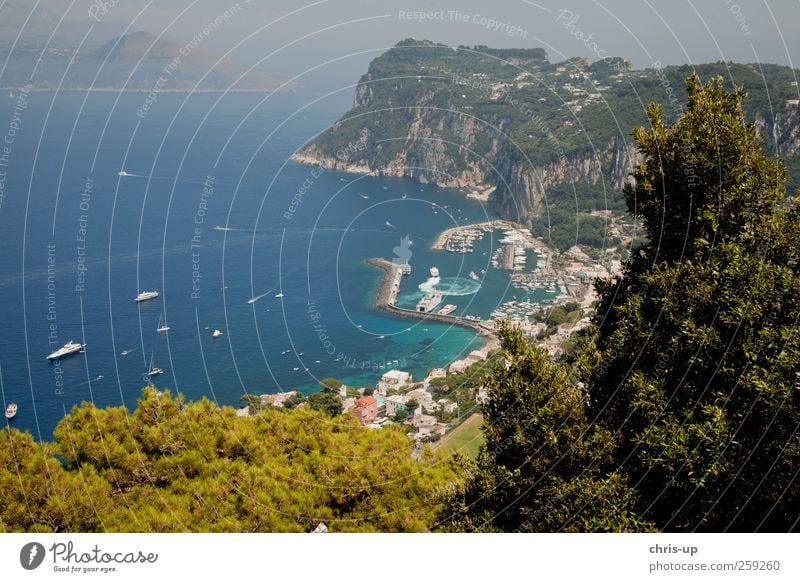 Hafen von Capri Ferien & Urlaub & Reisen Tourismus Ferne Freiheit Städtereise Strand Meer Insel Umwelt Natur Wasser Küste Bucht Dorf Kleinstadt Schifffahrt