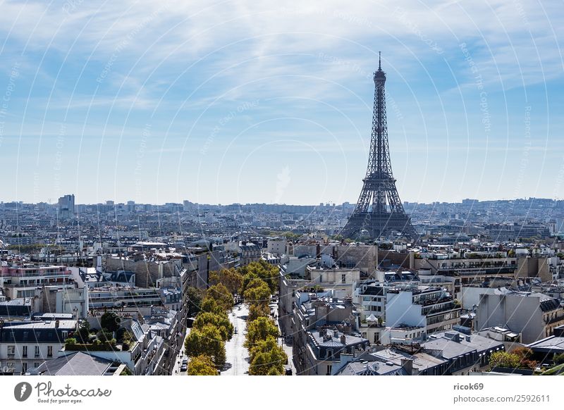 Blick auf den Eiffelturm in Paris, Frankreich Erholung Ferien & Urlaub & Reisen Tourismus Städtereise Wolken Herbst Baum Stadt Hauptstadt Turm Gebäude