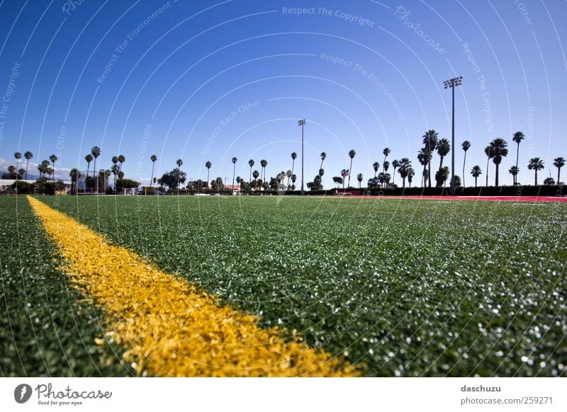 SBCC Football Field Sport Ballsport Sportstätten Fußballplatz Stadion St. Barbara USA Nordamerika Spielen Spielfeldbegrenzung Strand Palme Studium Farbfoto