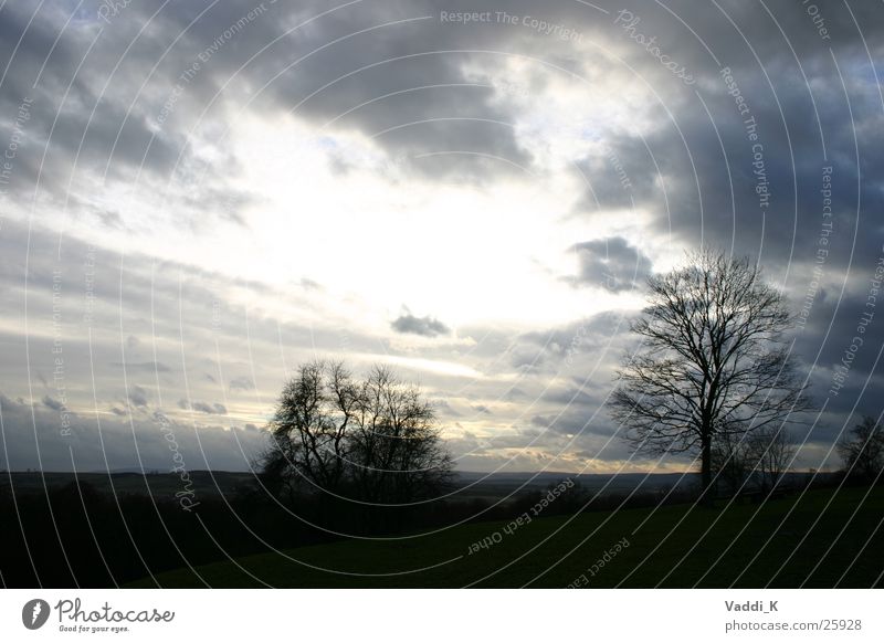 Open Sly Wolken Regenwolken Gegenlicht Winter Baum Himmel