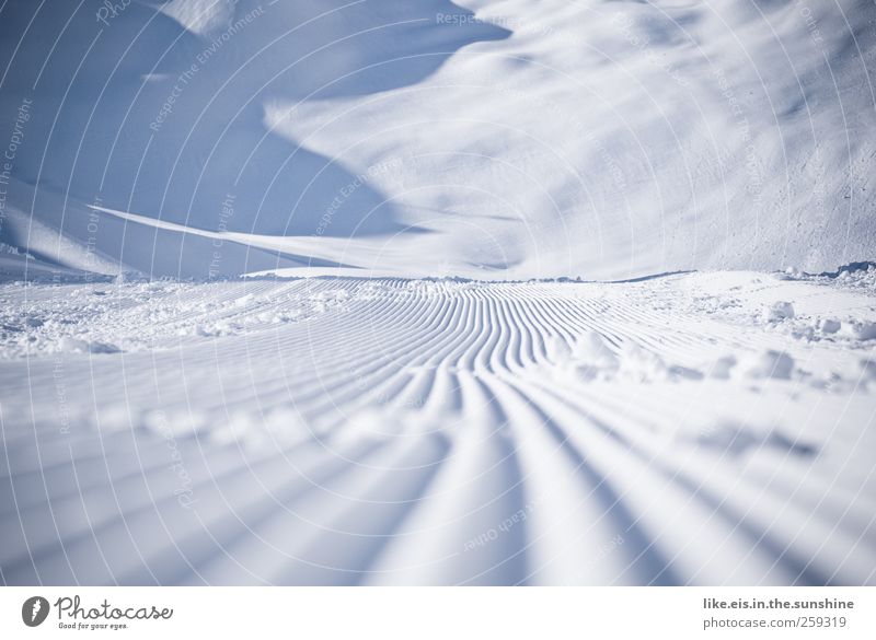 wie butter.... Winter Schnee Winterurlaub Skipiste Eis Frost Hügel Alpen Berge u. Gebirge Gletscher kalt blau rein Innsbruck Pistenzauber Schneefahrzeug Furche