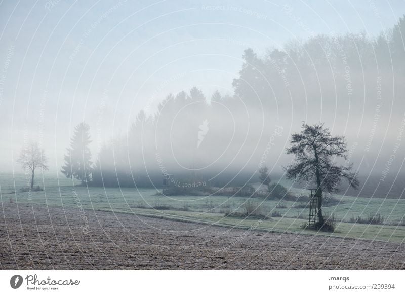 Benebelt Landwirtschaft Forstwirtschaft Umwelt Natur Landschaft Klimawandel Nebel Baum Feld Hochsitz kalt Gefühle Stimmung Umweltschutz Idylle Farbfoto