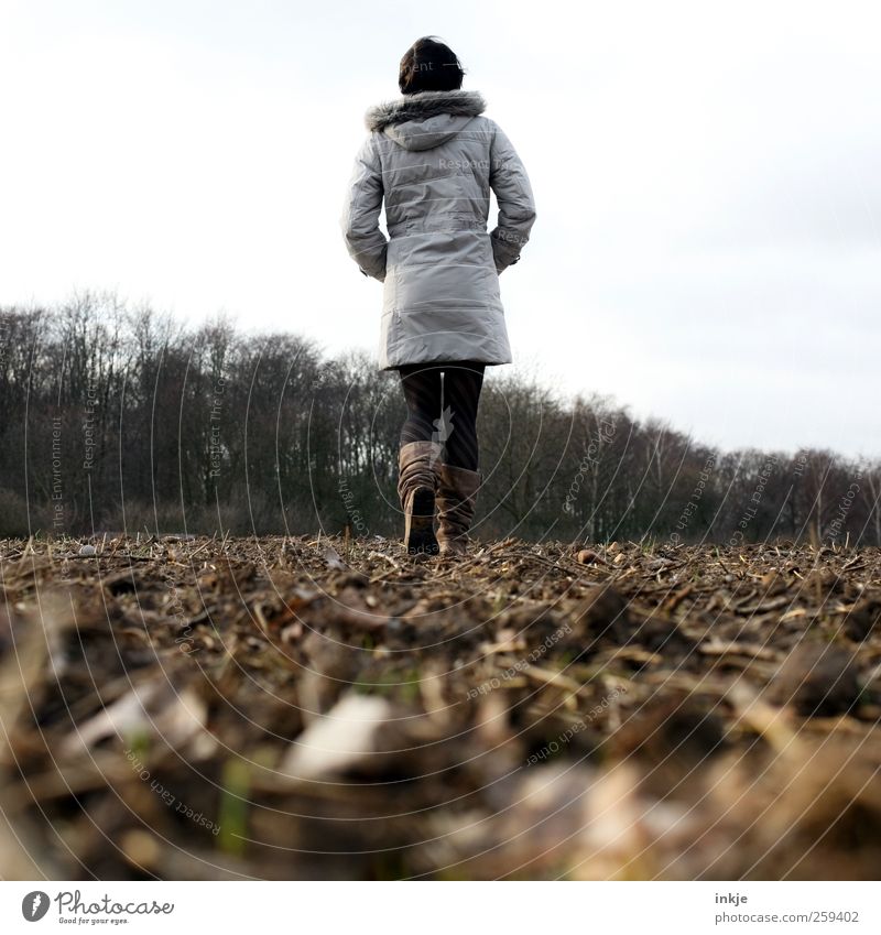 querfeldein Freizeit & Hobby Ferne Freiheit Frau Erwachsene Leben Körper 1 Mensch Landschaft Pflanze Erde Herbst Winter Wald Mantel Wintermantel Fellkragen