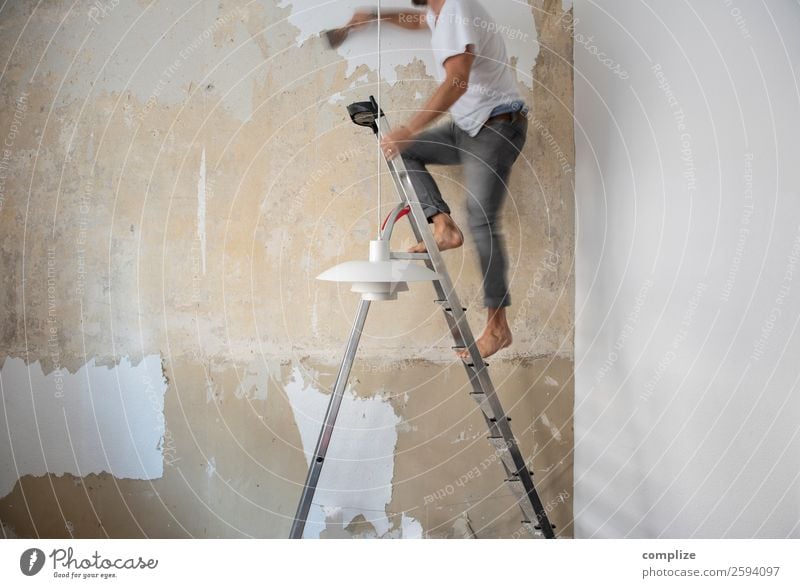 do-it-yourself | Tapete Abspachteln Arbeitsplatz Baustelle Handwerk Haus Mauer Wand Arbeit & Erwerbstätigkeit geduldig abspachteln Werkzeug heimwerken machen