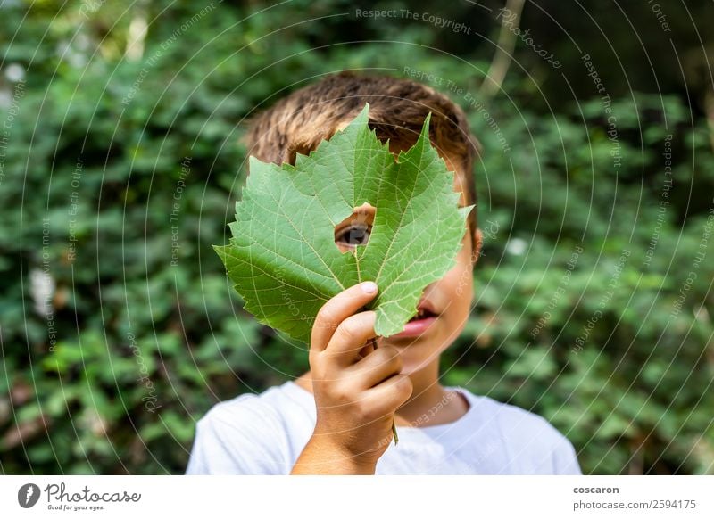 Kleiner Junge, der durch ein Loch in einem Blatt schaut. Lifestyle Freude Glück schön Spielen Ferien & Urlaub & Reisen Abenteuer Kind Schule Mensch Kleinkind